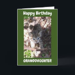 SIE SIND PHANTASTISCH **GRANDDAUGHTER** GEBURTSTAG KARTE<br><div class="desc">VIELEN DANK,  DASS SIE VON EINER MEINER ACHT GESCHICHTEN GESCHAFFEN HABEN!!!</div>