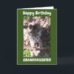SIE SIND PHANTASTISCH **GRANDDAUGHTER** GEBURTSTAG KARTE<br><div class="desc">VIELEN DANK,  DASS SIE VON EINER MEINER ACHT GESCHICHTEN GESCHAFFEN HABEN!!!</div>