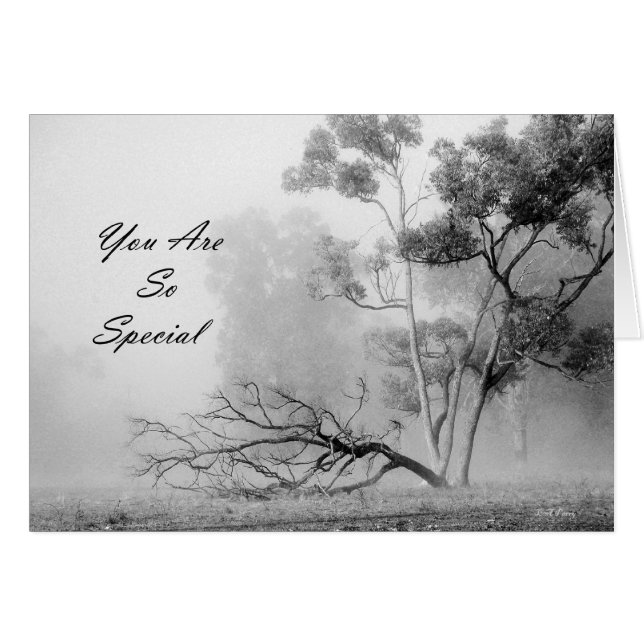 Sie sind so speziell (Vorderseite (Horizontal))