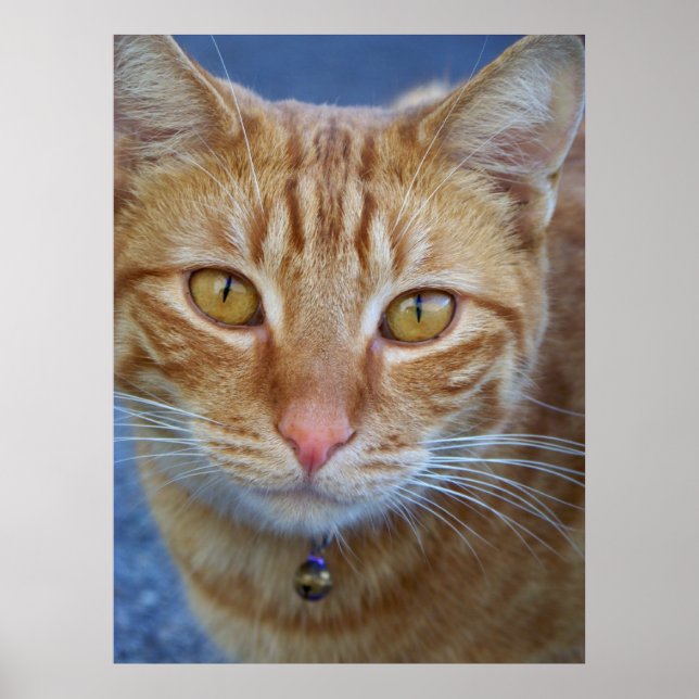 Sie sind speziell_ Poster_by Elenne Boothe Poster (Vorne)