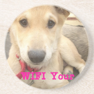 Sie sollten Ihre Liebe jeden Tag WIFI Sandstein Untersetzer