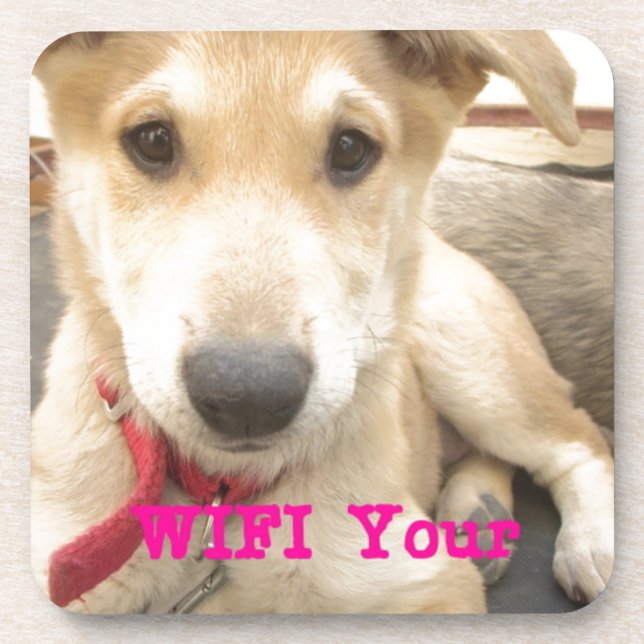 Sie sollten Ihre Liebe jeden Tag WIFI Untersetzer (Vorderseite)