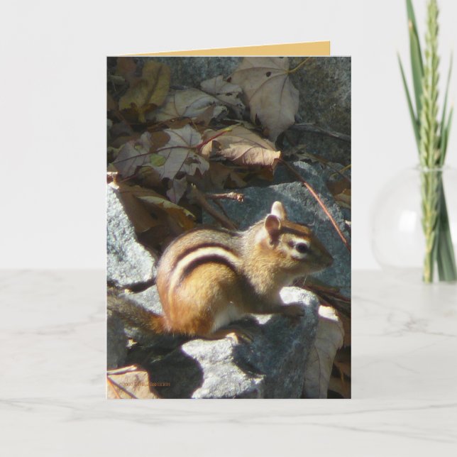 Sie stoppte karte (Vorderseite)