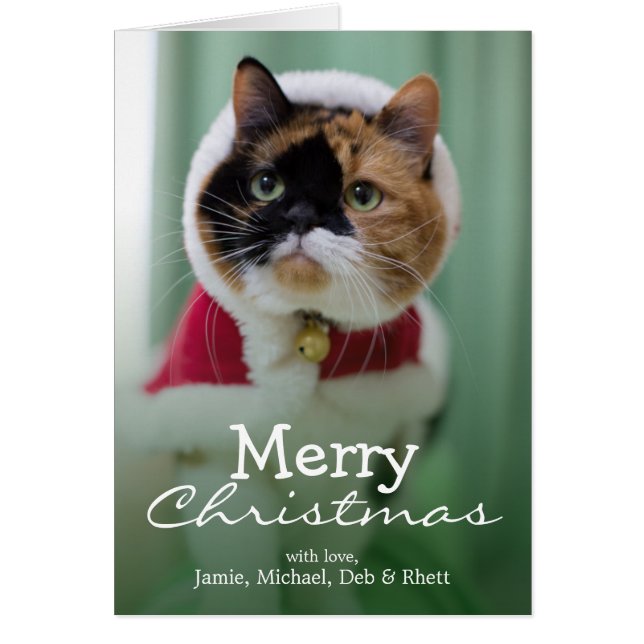 Sie trägt ein Weihnachtskostüm (Vorne)