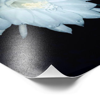 Sie trug die Wiege des Moses Fotodruck