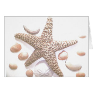 Sie verkauft Muscheln