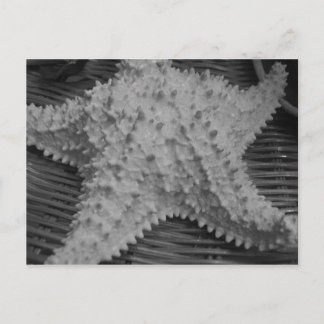 Sie verkauft Muscheln am Meer Postkarte