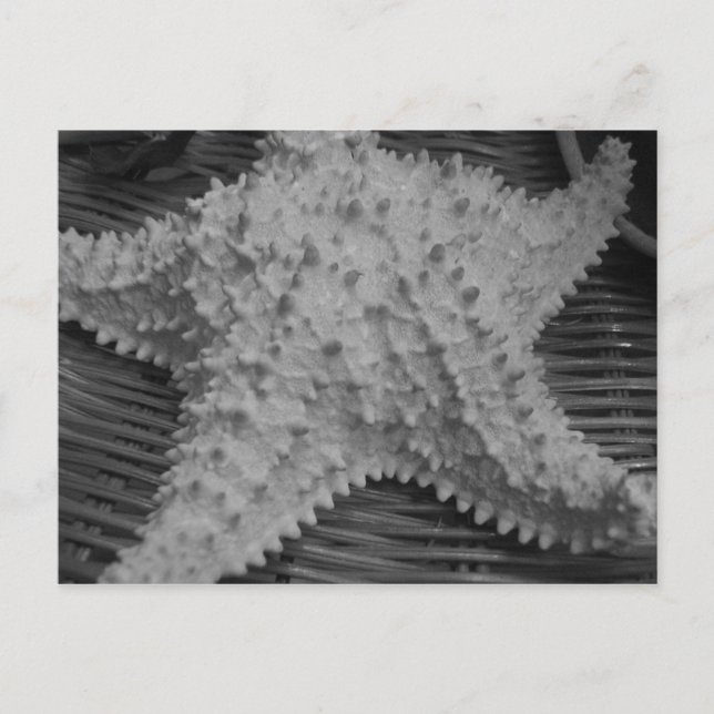 Sie verkauft Muscheln am Meer Postkarte (Vorderseite)