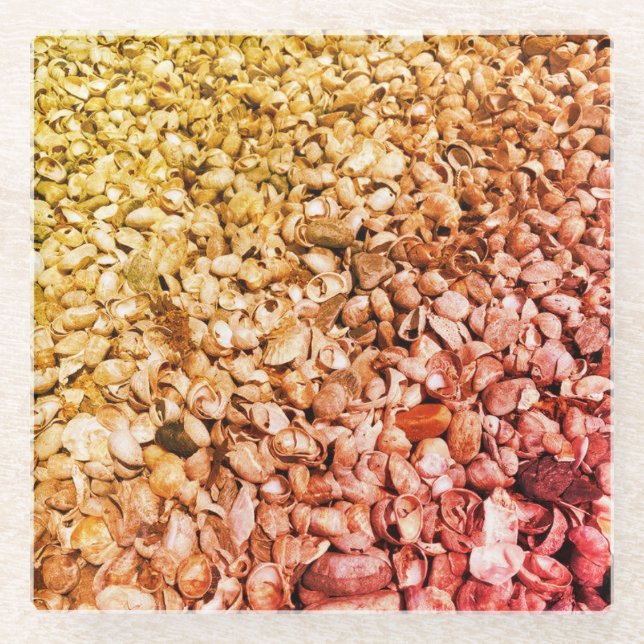 Sie verkauft Ombre Seashells Glasuntersetzer (Vorderseite)