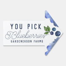 Sie wählen Blueberries Wasserfarbzeichen