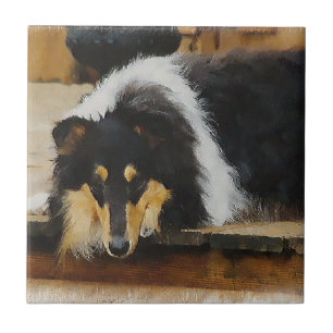Sie wartet Tri Color Collie Fliese