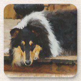 Sie wartet Tri Color Collie Getränkeuntersetzer