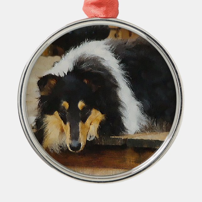 Sie wartet Tri Color Collie Ornament Aus Metall (Vorne)