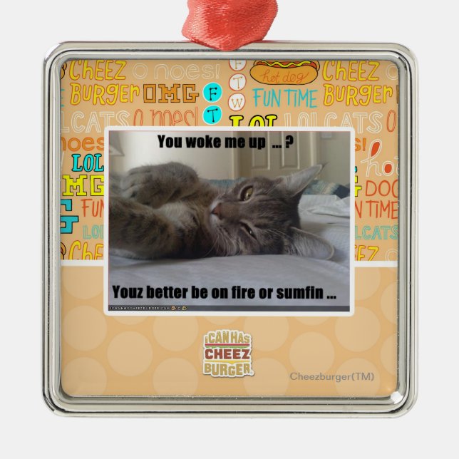 Sie weckten mich oben ornament aus metall (Vorne)