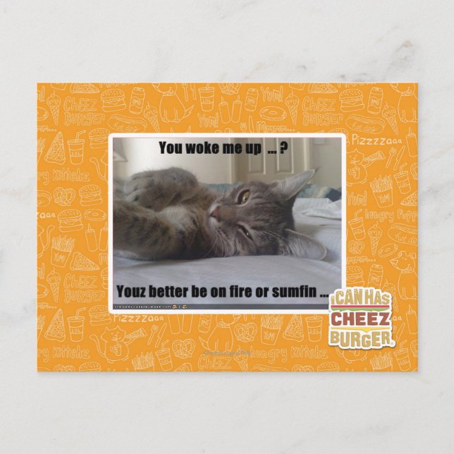 Sie weckten mich oben postkarte (Vorderseite)