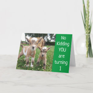 **SIE WERDEN 1*** KEIN KIND! BIRTHDAY CARD KARTE