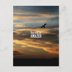 Sie werden begeistert sein postkarte