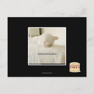 Sie werden mich hier nie finden postkarte