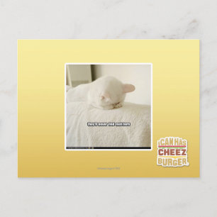 Sie werden mich hier nie finden postkarte