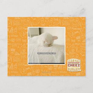 Sie werden mich hier nie finden postkarte