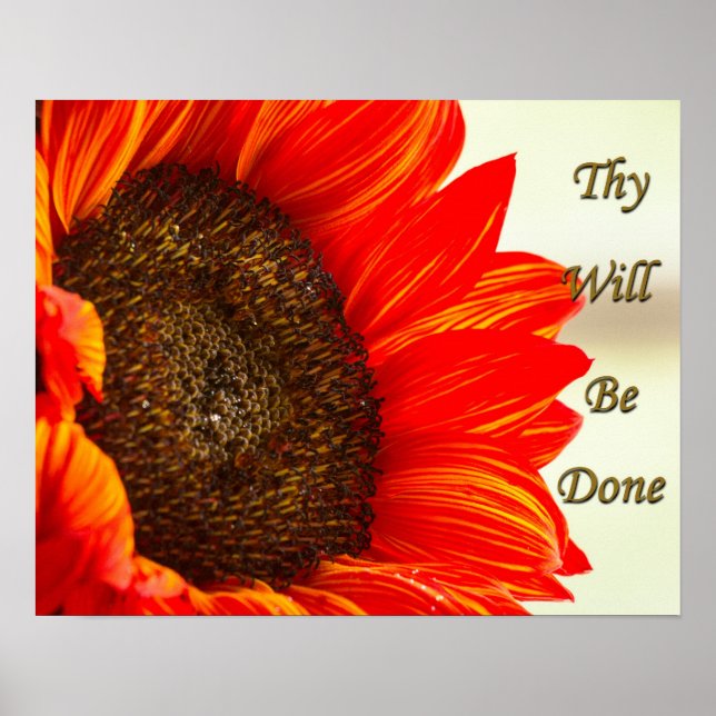 Sie werden Sonnenblumen gemacht Poster (Vorne)