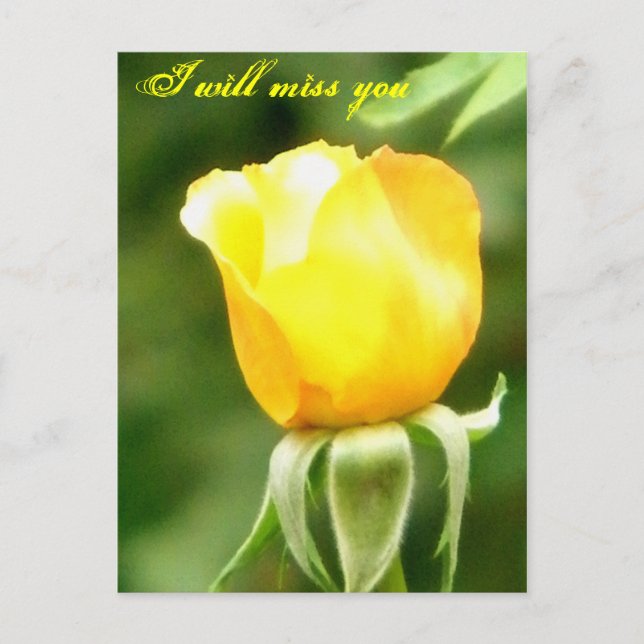 Sie werden verpasst/Any Occasions_Postcard Postkarte (Vorderseite)