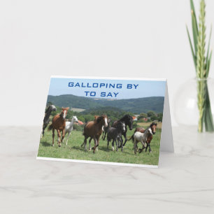 SIE WERDEN VON ALLEN UNSEREN KARTEN FEHLGESCHLAGEN