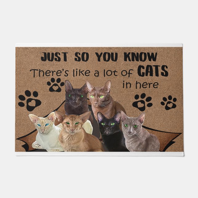 Sie wissen nur, dass sie viele Katzen hat Fußmatte (Vorderseite)