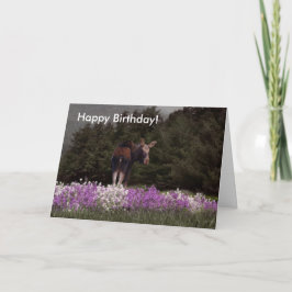 Sie wurden von einem Elch verstümmelt! Geburtskart Karte