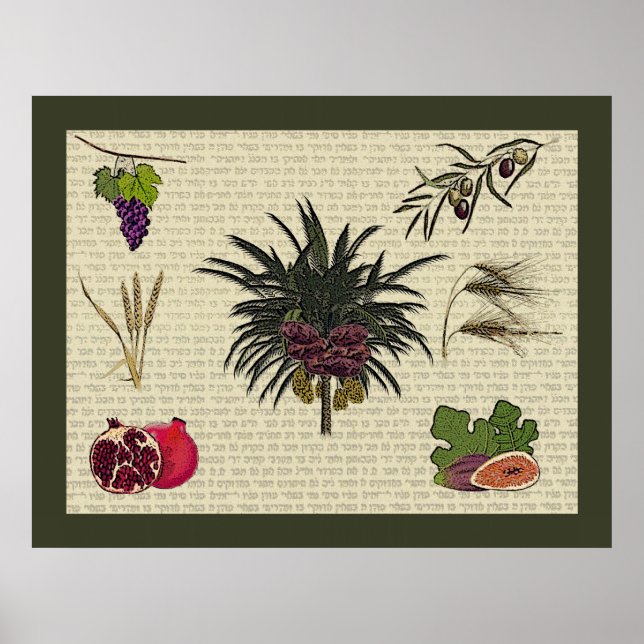 Sieben Arten Poster (Vorne)