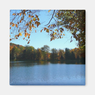 Sieben Quellen fallen Bäume und Teich Magnet