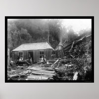 Siedler Homestead in Neuseeland 1906