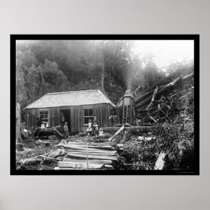 Siedler Homestead in Neuseeland 1906 Poster