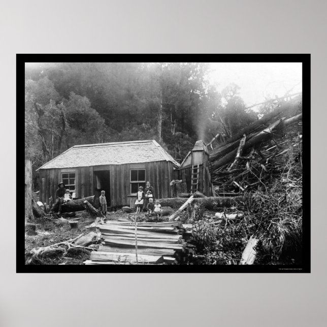 Siedler Homestead in Neuseeland 1906 Poster (Vorne)