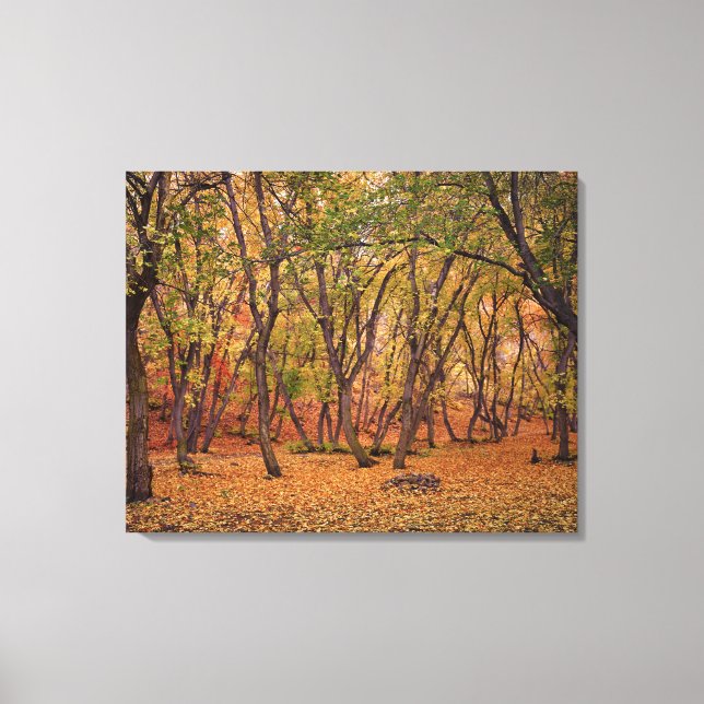 Siedlungsschlucht Leinwanddruck (Vorderseite)