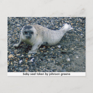 Siegel (2), Siegel für Säuglinge, von Steppengrün  Postkarte