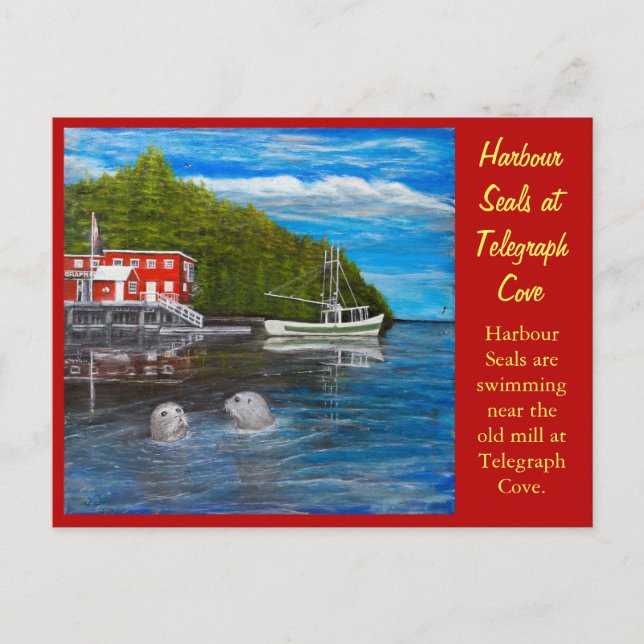 Siegel bei Telegraph Cove, BC Canada. Postkarte (Vorderseite)