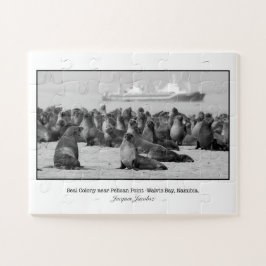Siegel Colony bei Pelican Point Puzzle