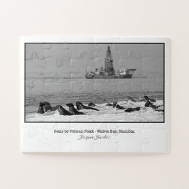 Siegel Colony bei Pelican Point Puzzle