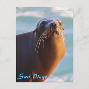 Siegel der Genehmigung Postkarte
