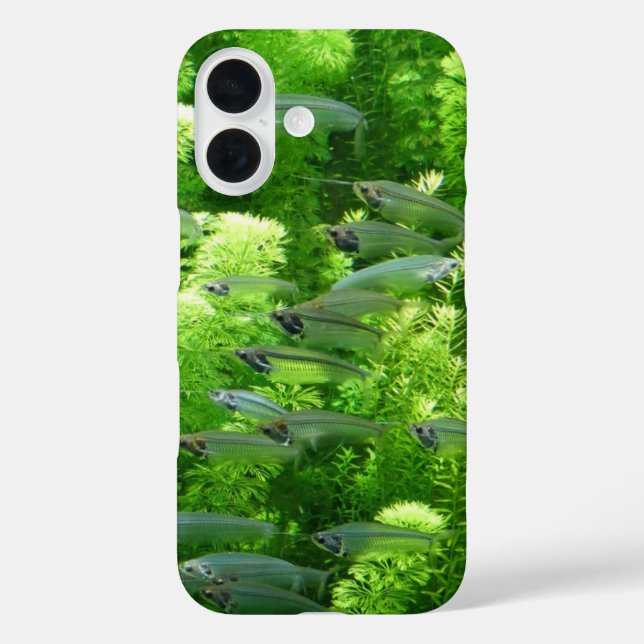 Siegel der glänzenden Silberfische Case-Mate iPhone Hülle (Rückseite)