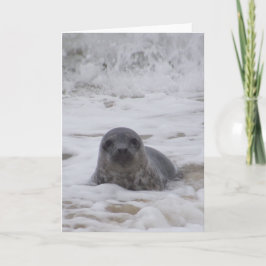 Siegel - Foto Farbe Farbe drucken Grußkarte Karte