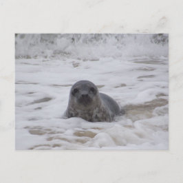 Siegel - Foto Farbe Farbe Drucken Postkarte