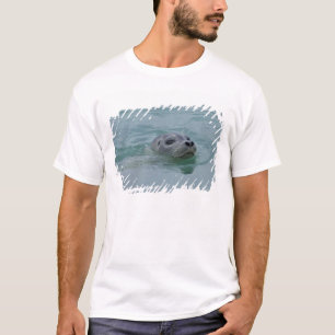 Siegel in Jokulsarlon Gletschersee T-Shirt