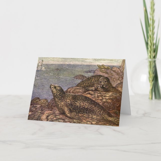 Siegel in Vintagen Häfen, Meerestiere Karte (Vorderseite)