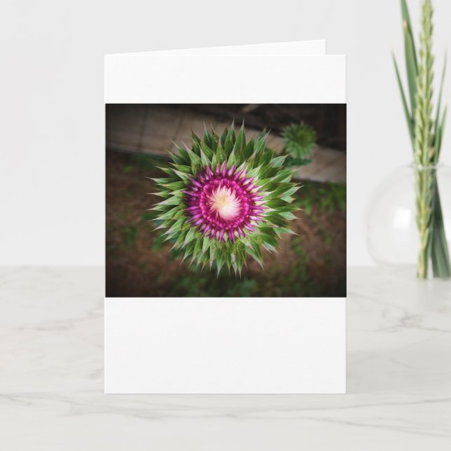 Siegel, Karte (Vorderseite)