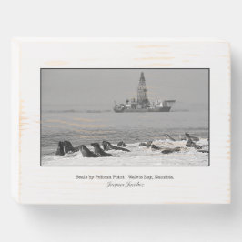 Siegel Kolonie in Walvis Bay Wall Art Holzkisten Schild