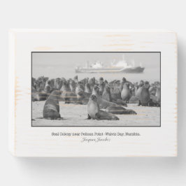 Siegel Kolonie in Walvis Bay Wall Art Holzkisten Schild