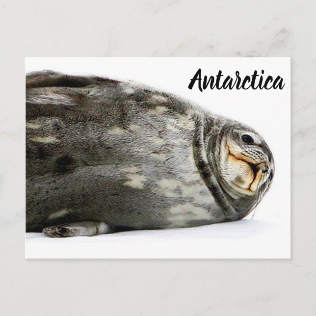 "Siegel mit Kuss" Postkarte (Vorderseite)