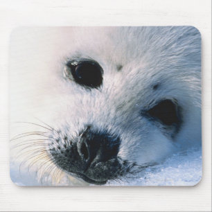 Siegel Mousepad